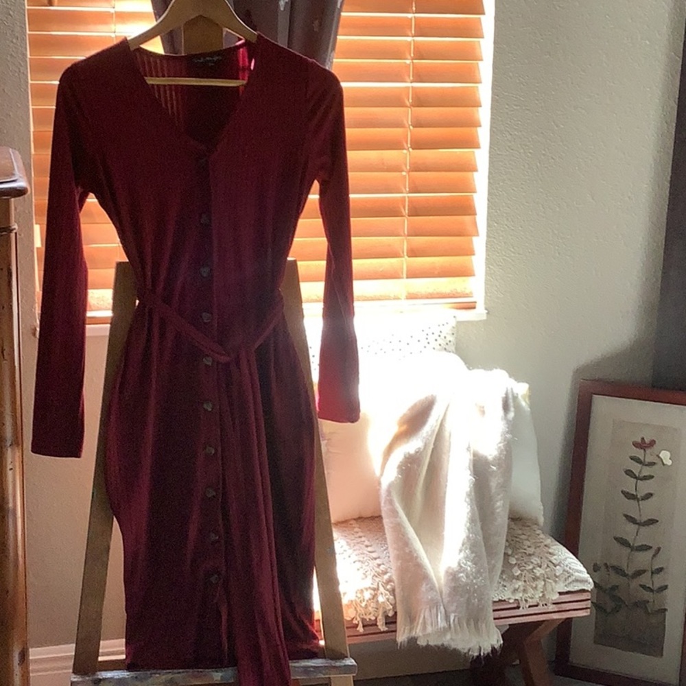 Elegant Burgundy Button-Down Dress - Picture 3 of 5